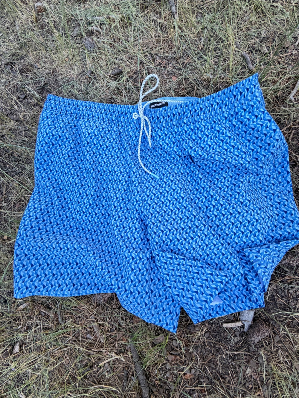 Bonobos Blue Patterned Women’s Shorts